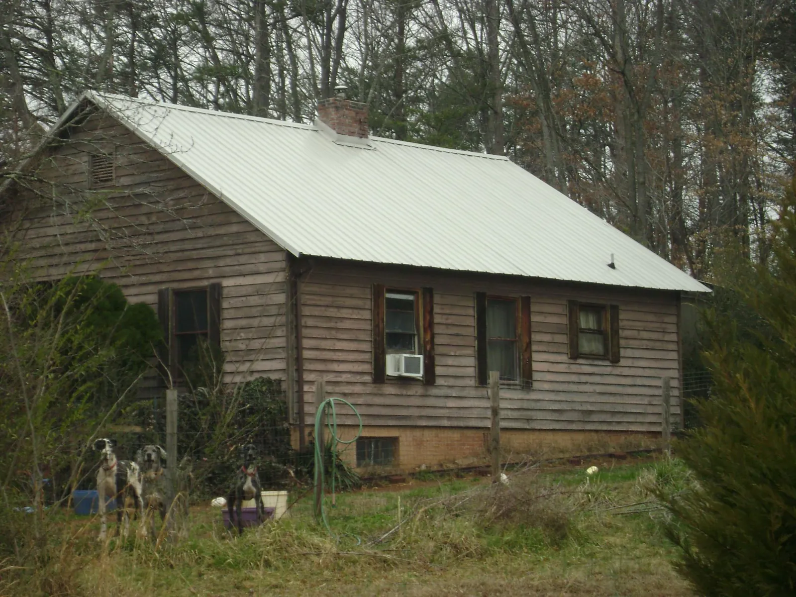 White metal roof on an old wood sided farmhouse, from a Asphalt Shingle Roof Repair job in Saint David